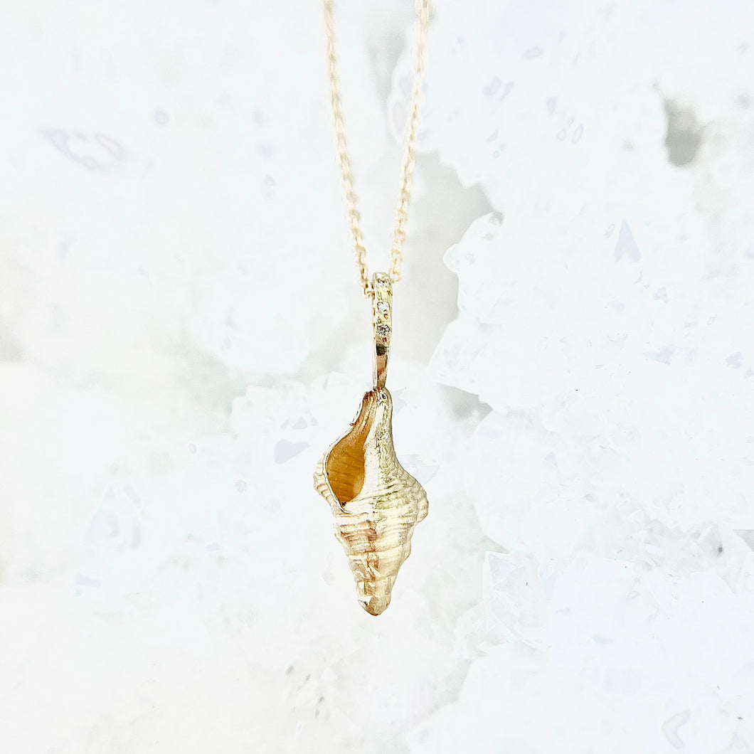 The Shell - So Rare Necklace